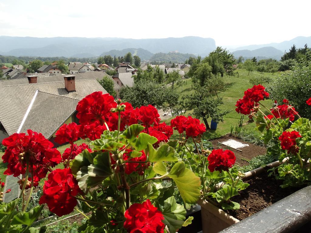 Garden Apartments Maria Bled Buitenkant foto